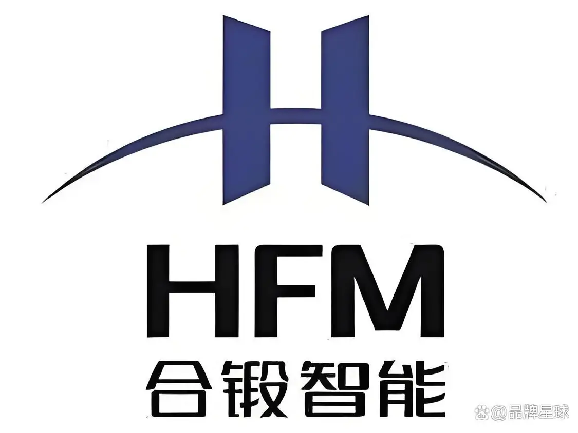 Hefei Forging Intelligence (603011)