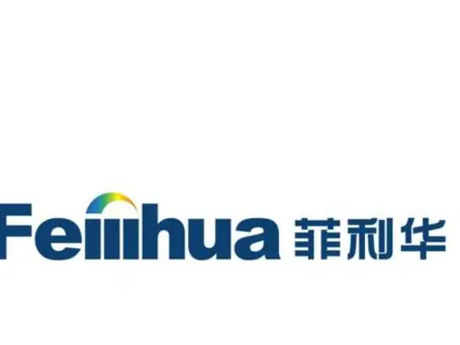 Feilihua (300395.SZ)