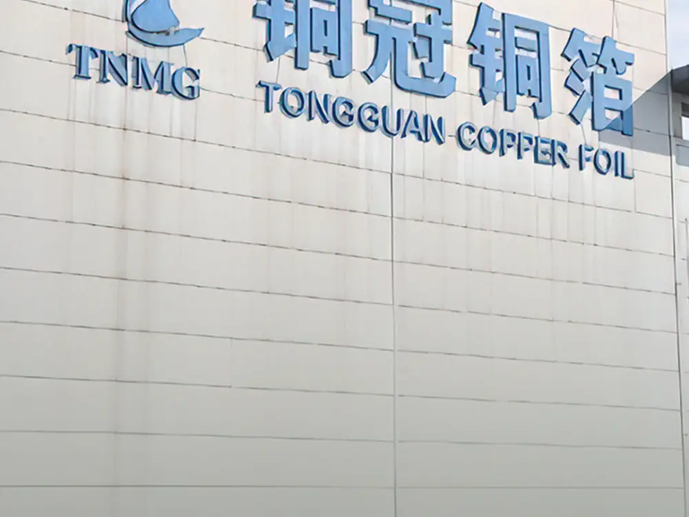 Tongguan Copper Foil (301217.SZ)