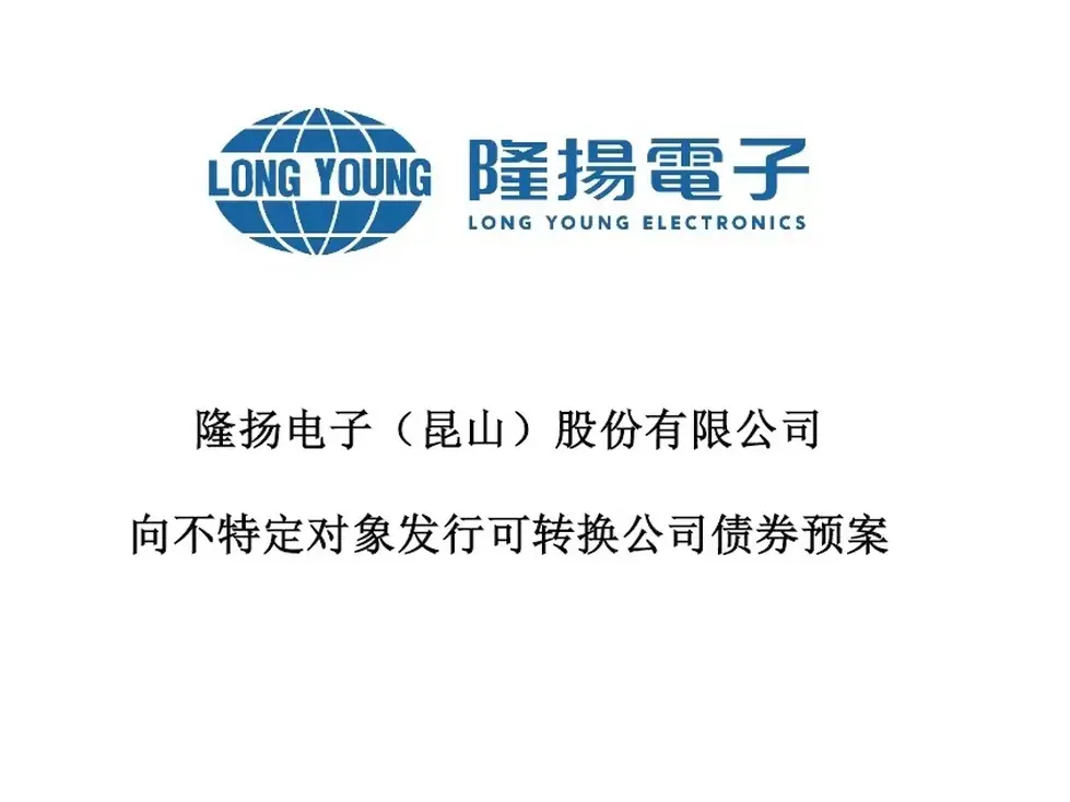 LongYoung Electronic (301389.SZ)